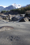 Wolf Tracks Squamish Valley